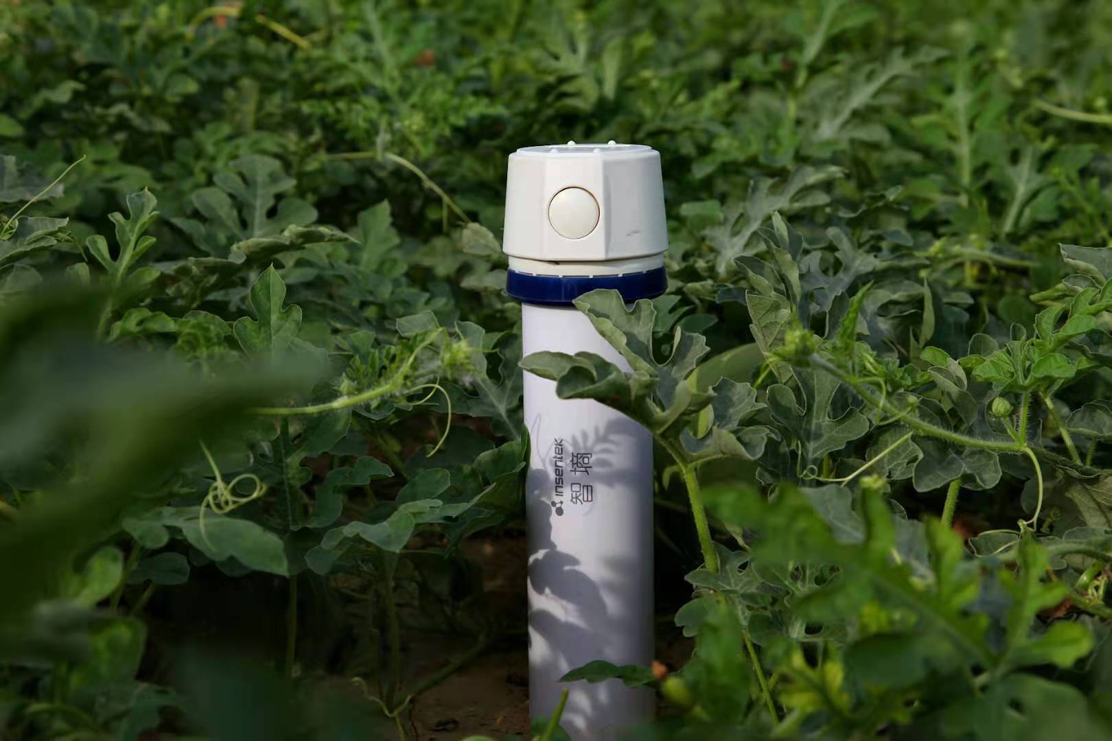 （智墒）土壤墒情监测仪+生态气象站++液位版智墒压电式雨量计
